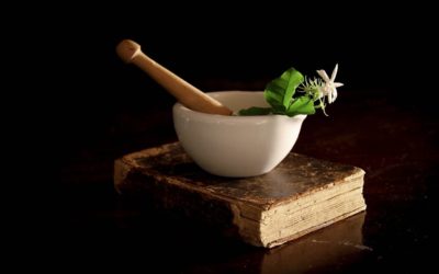 Phytothérapie à Sélestat : les plantes sont vos alliées